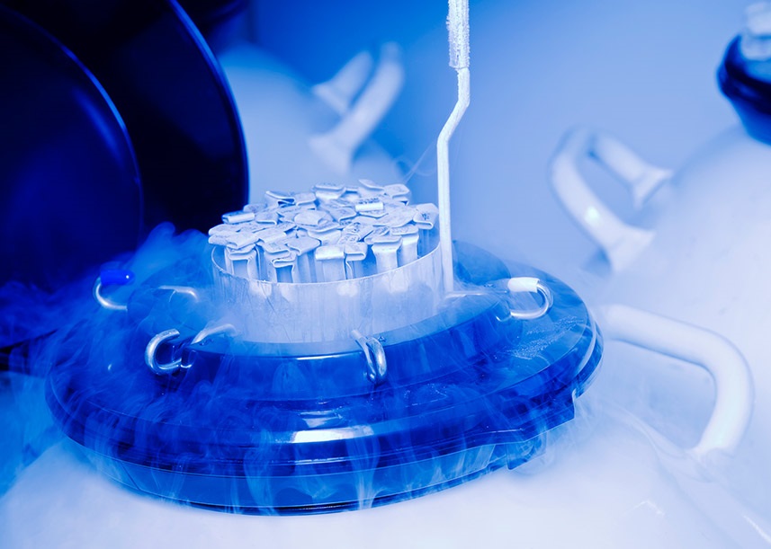 best egg freezing specialist in vile parle andheri