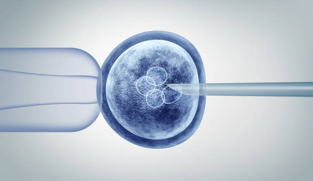 best test tube baby specialist in vile parle andheri